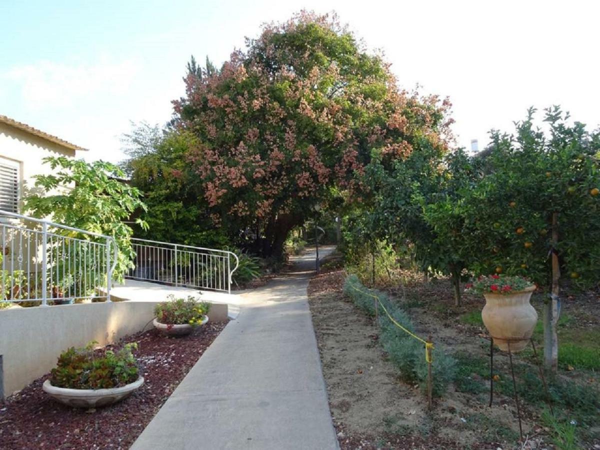 Beautiful Apartment In Kibbutz Yifat Yif'at Esterno foto
