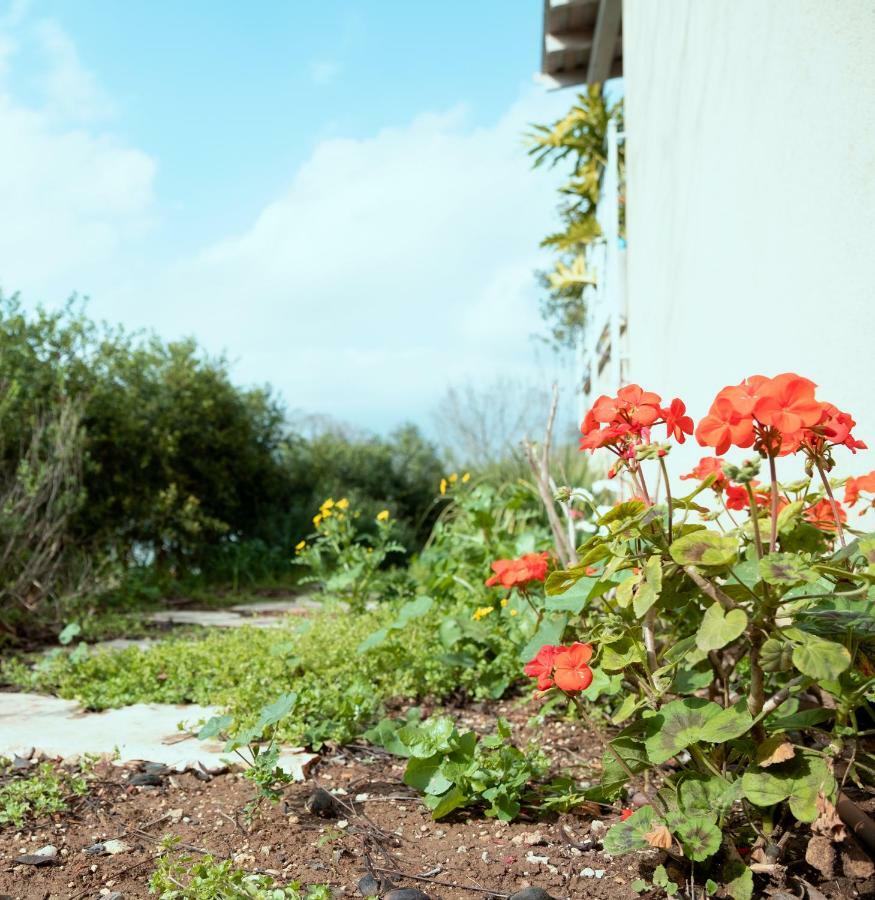 Beautiful Apartment In Kibbutz Yifat Yif'at Esterno foto